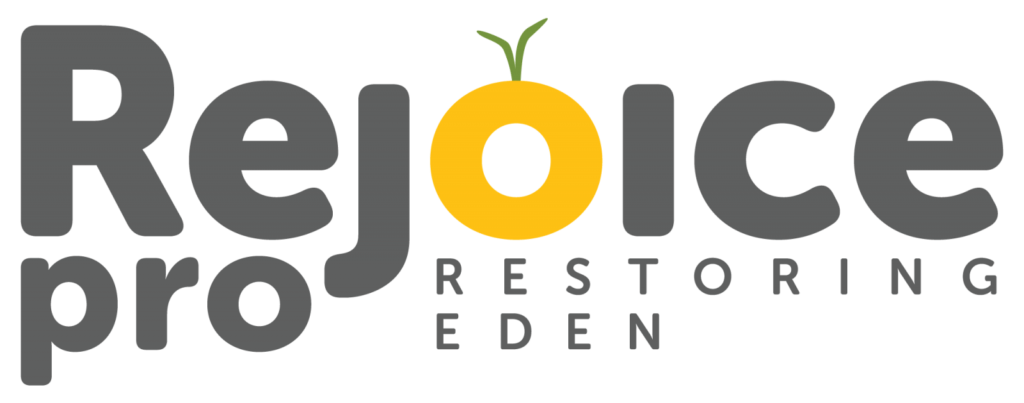 RejoicePro Consulting